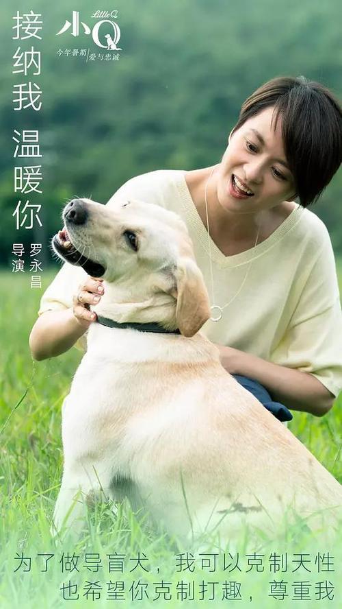 学位证书在哪儿查询